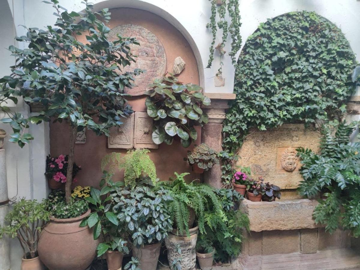 El Capricho De San Fernando, Consigna Gratis Y Parking A 200Mts Apartment Kordoba Bagian luar foto