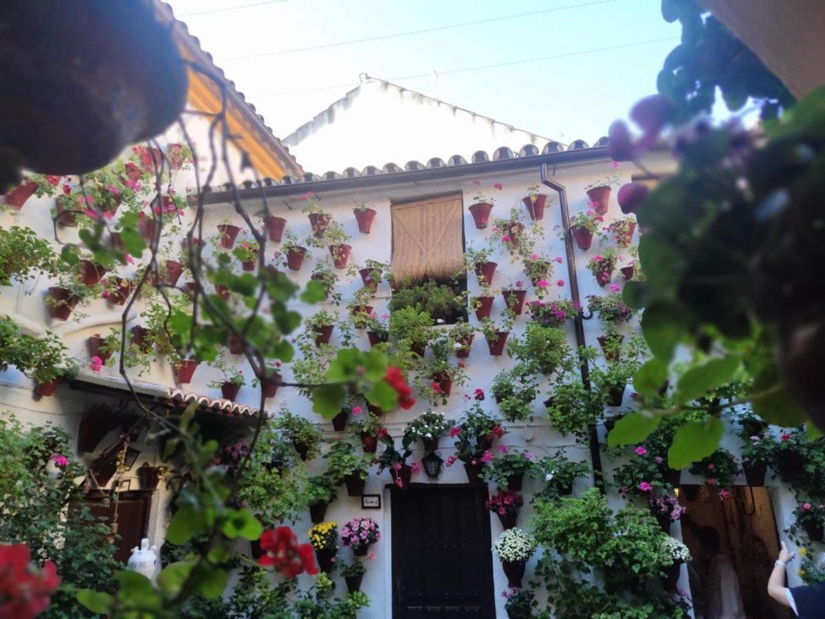 El Capricho De San Fernando, Consigna Gratis Y Parking A 200Mts Apartment Kordoba Bagian luar foto