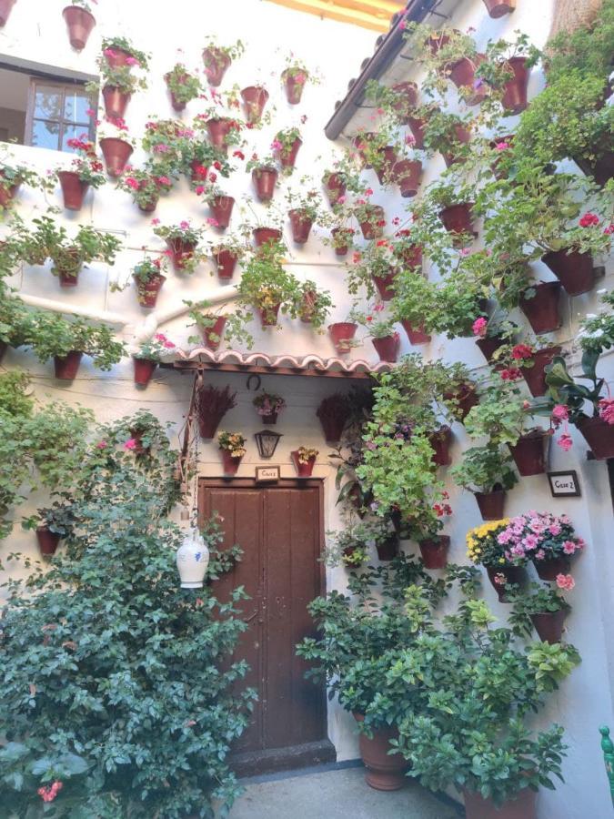 El Capricho De San Fernando, Consigna Gratis Y Parking A 200Mts Apartment Kordoba Bagian luar foto