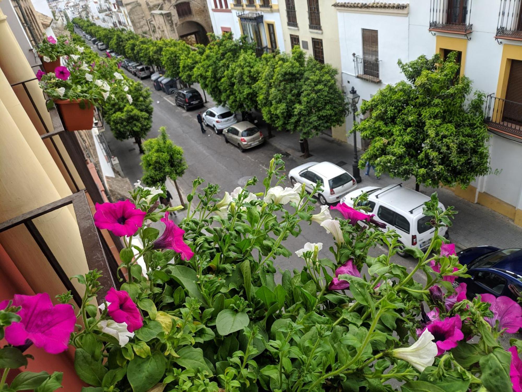 El Capricho De San Fernando, Consigna Gratis Y Parking A 200Mts Apartment Kordoba Bagian luar foto